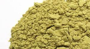 Pumpkin Seed Powder - NY Spice Shop