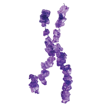 Purple Grape Crystal Rock Candy- NY Spice Shop 