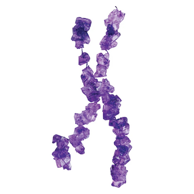 Purple Grape Crystal Rock Candy- NY Spice Shop