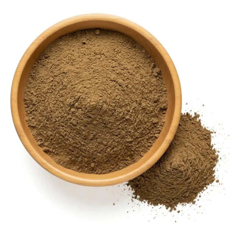 St John's Wort Powder - NY Spice Shop