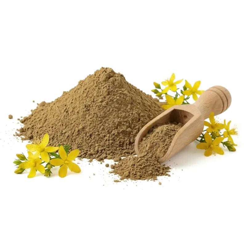 St John's Wort Powder - NY Spice Shop