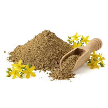 St John's Wort Powder - NY Spice Shop