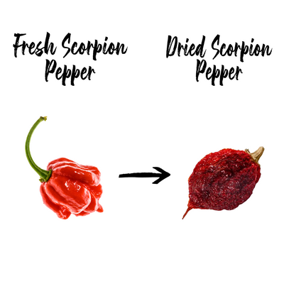 Scorpion Chile - NY Spice Shop