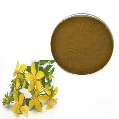 St John's Wort Powder - NY Spice Shop