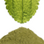 Stevia Leaf Powder - NY Spice Shop