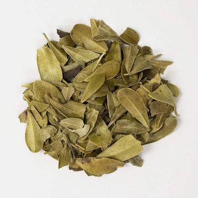 Uva Ursi Leaf Powder