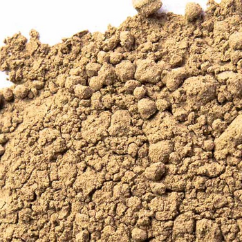 Vervain Herb Powder - NY Spice Shop