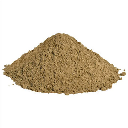 Bacopa Monnieri Powder - NY Spice Shop