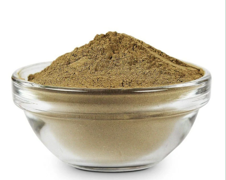 Bacopa Monnieri Powder - NY Spice Shop