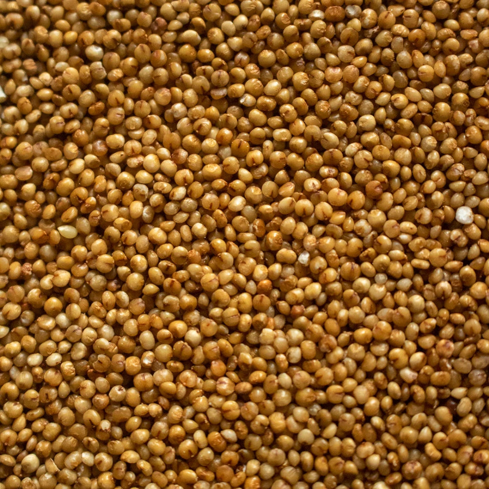 KODO Seeds (Bajra)