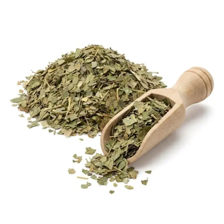 Black Walnut Leaf - C/S - NY Spice Shop