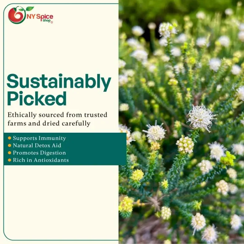 Buchu Leaf - Whole - NY Spice Shop