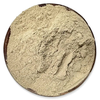 Burdock Root Powder - NY Spice Shop