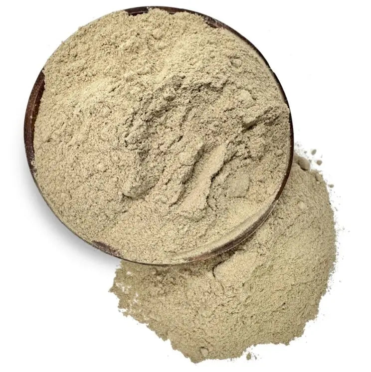 Burdock Root Powder - NY Spice Shop