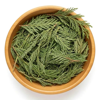 Cedar Leaf - Whole - NY Spice Shop