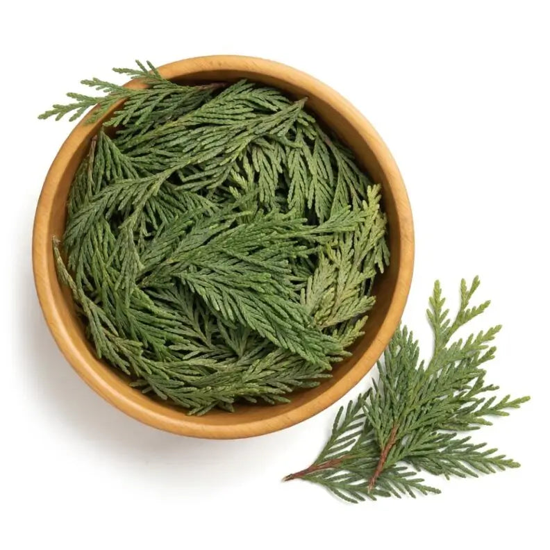 Cedar Leaf - Whole - NY Spice Shop