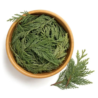 Cedar Leaf - Whole - NY Spice Shop