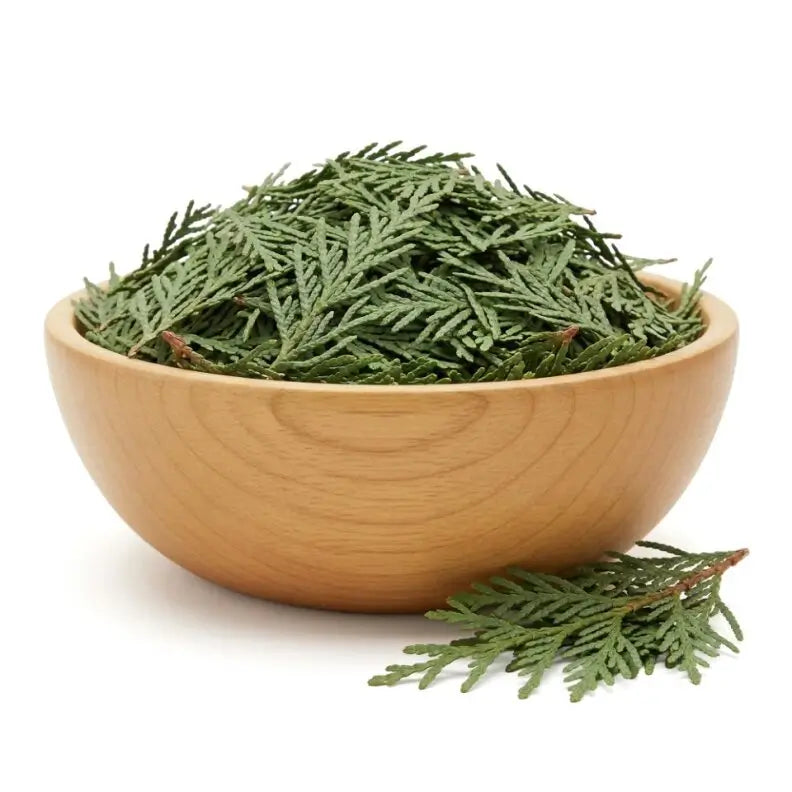 Cedar Leaf - Whole - NY Spice Shop