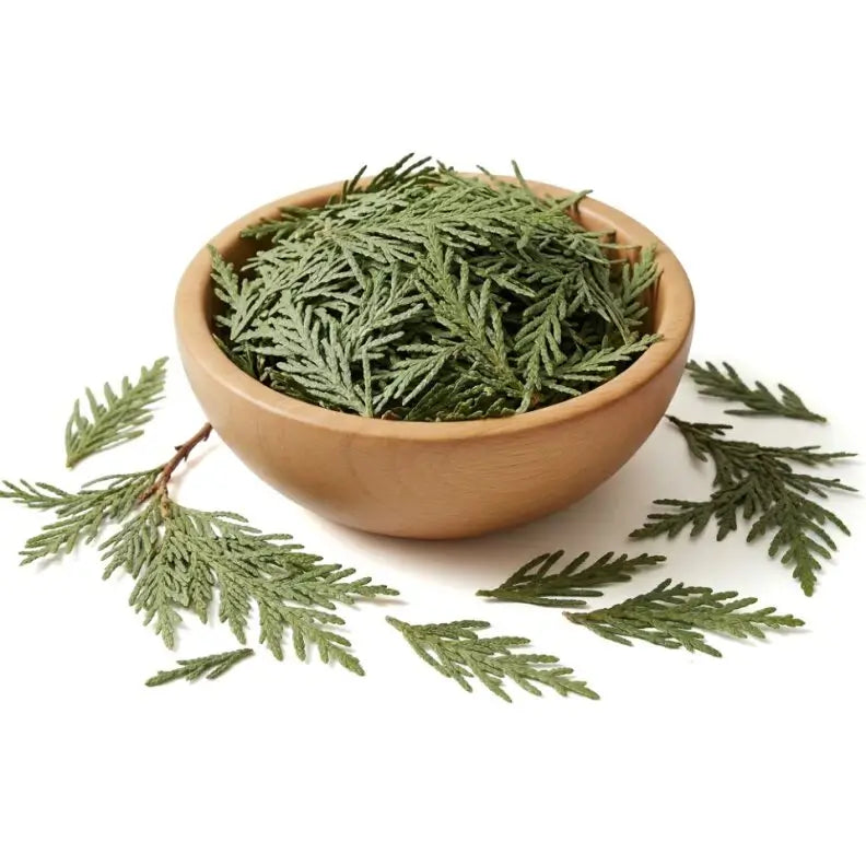 Cedar Leaf - Whole - NY Spice Shop