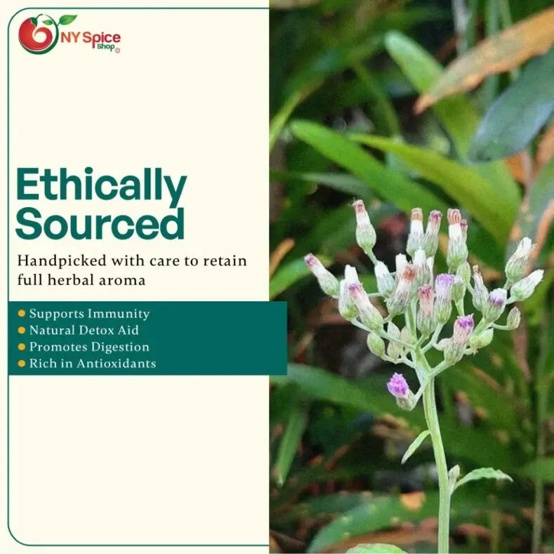 Chickweed Cut & Sifted - NY Spice Shop