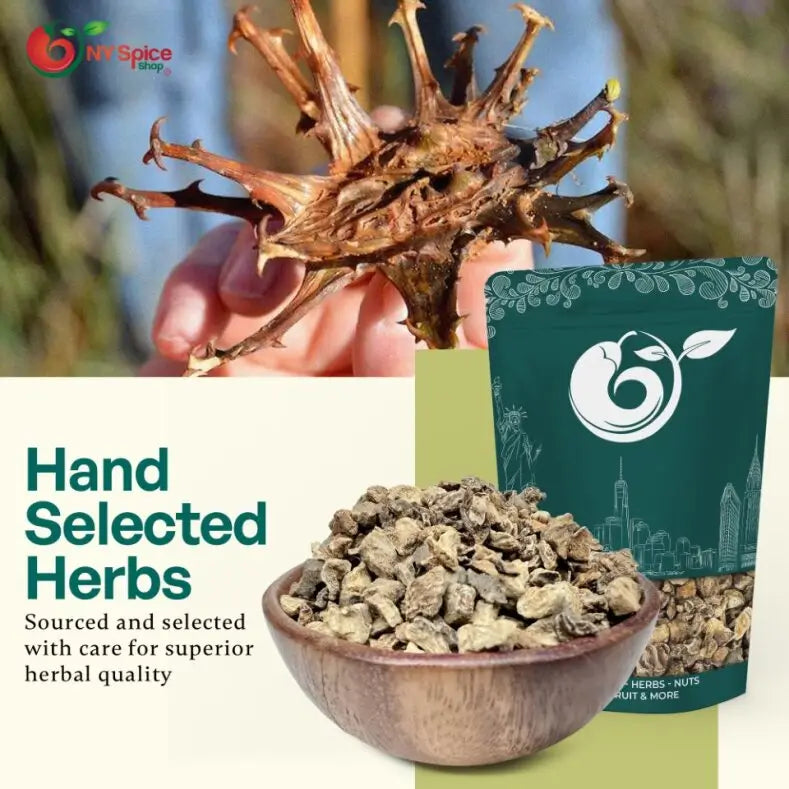 Devil's Claw Root - Cut & Sifted - NY Spice Shop