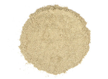 Dong Quai Powder- NY Spice Shop