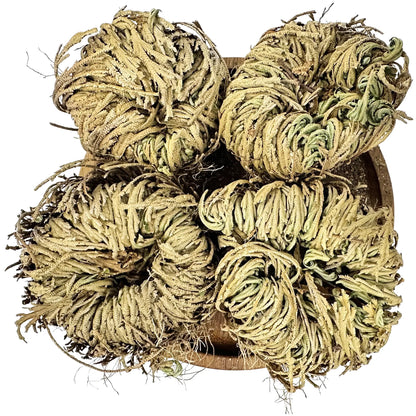 Doradilla - NY Spice Shop