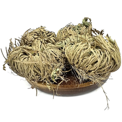 Doradilla - NY Spice Shop