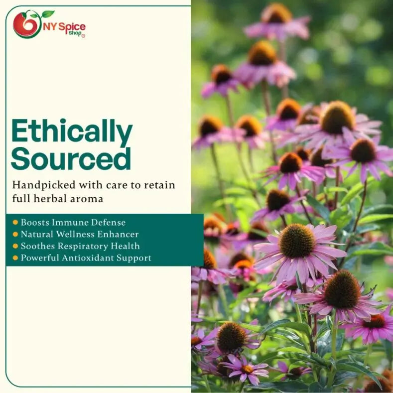 Echinacea purpurea Herb -NY Spice Shop