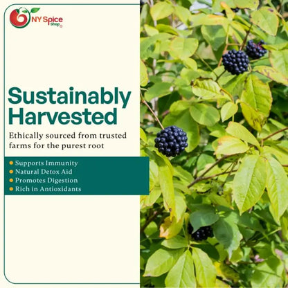 Eleuthero Root - Cut & Sifted - NY Spice Shop