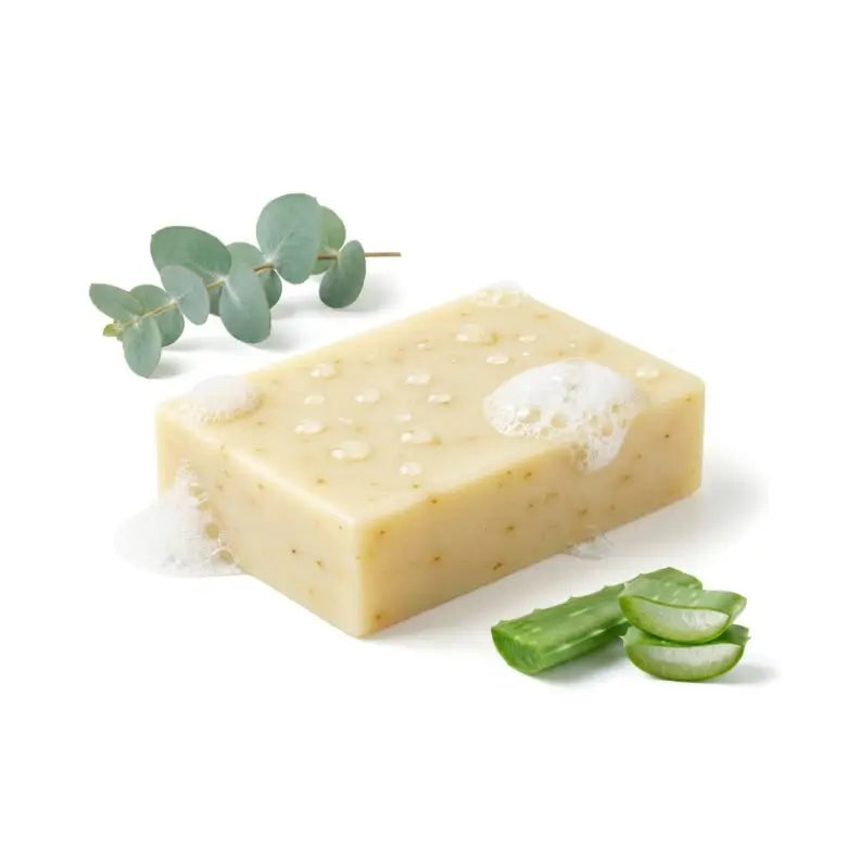 Eucalyptus Aloe Cold Process Soap Bars - NY Spice Shop