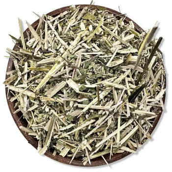 Figwort Herb Cut & Sifted - Wildcrafted - NY Spice Shop