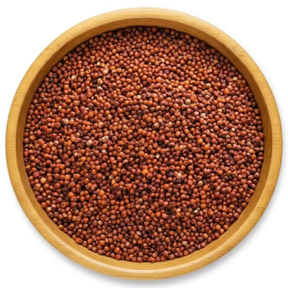 Finger Millet, Ragi - ( Eleusine coracana )
