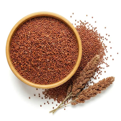 Finger Millet, Ragi - ( Eleusine coracana )