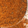 Louisiana Fish Seasoning - NY Spice Shop