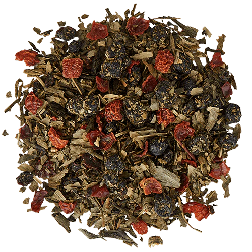 Focus Green Tea - NY Spice Shop