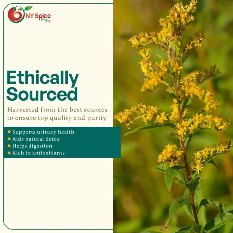 Goldenrod Herb - Cut & Sifted - NY Spice Shop