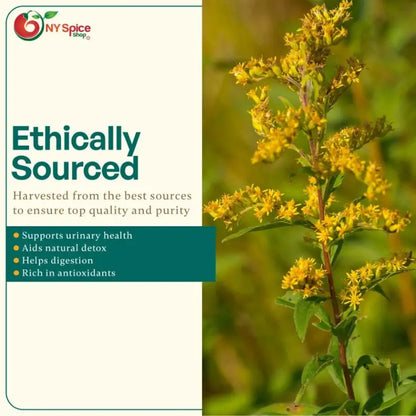 Goldenrod Herb - Cut & Sifted - NY Spice Shop