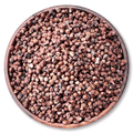 Grains of Paradise