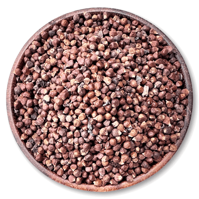 Grains of Paradise - NY Spice Shop