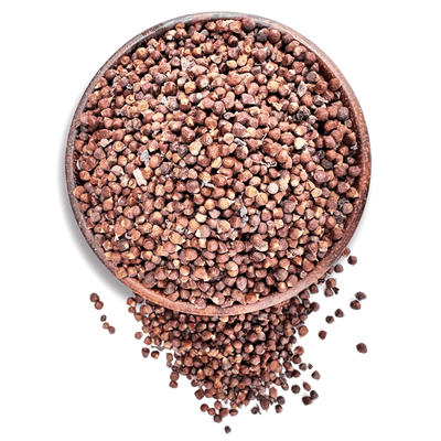 Grains of Paradise - NY Spice Shop