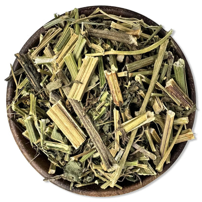 Insuline plant - Cissus sicyoides