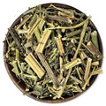 Insuline plant - Cissus sicyoides