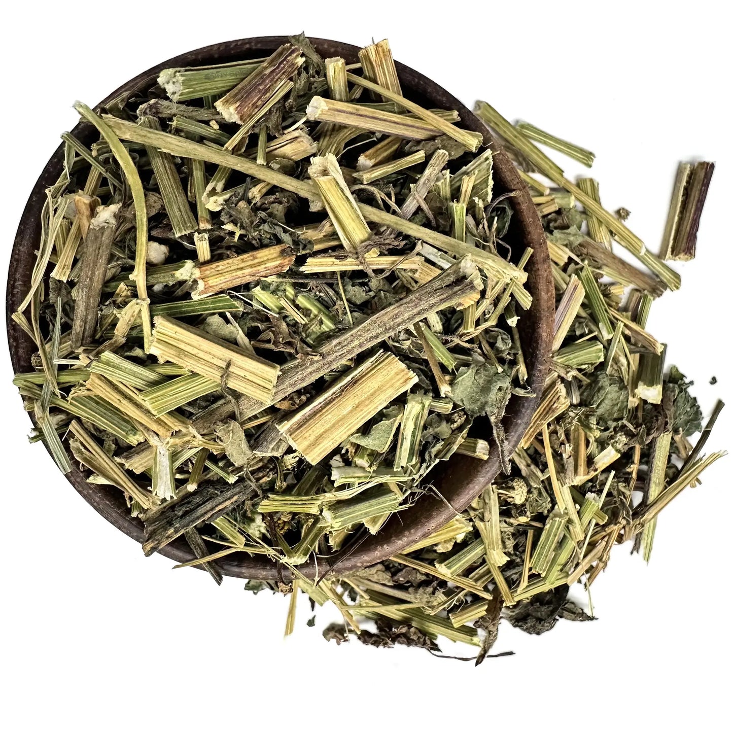 Insuline plant - Cissus sicyoides