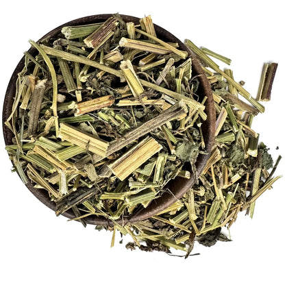 Insuline plant - Cissus sicyoides