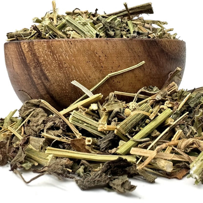 Insuline plant - Cissus sicyoides