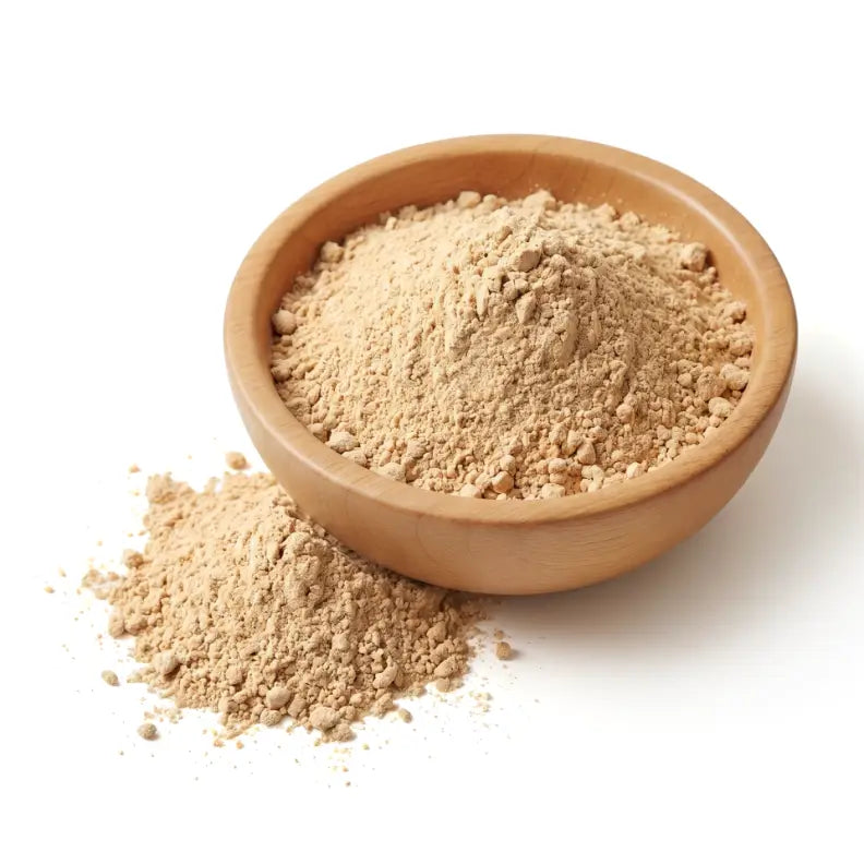 Lion's Mane Mushroom Powder - NY Spice Shop