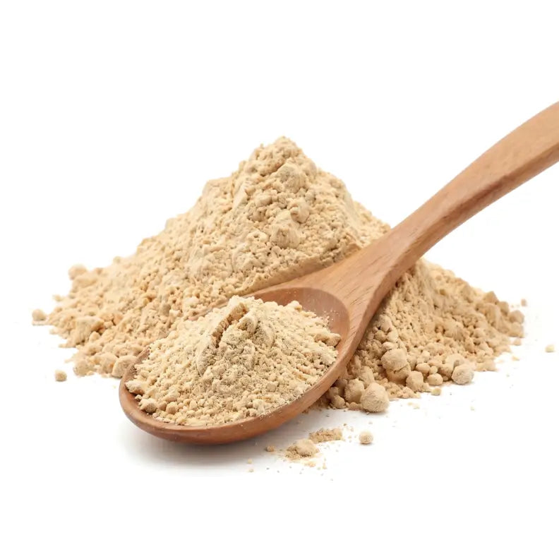 Lion's Mane Mushroom Powder - NY Spice Shop