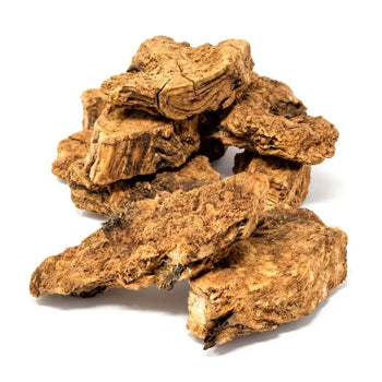 Lomatium Root Whole - NY Spice Shop