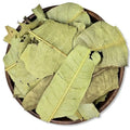 Dried Mango Leaves